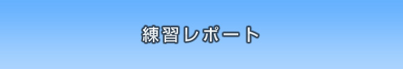 17期練習レポート