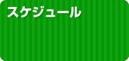 活動スケジュール